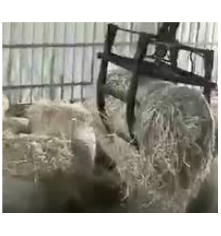 秸秆捆直燃锅炉视频5